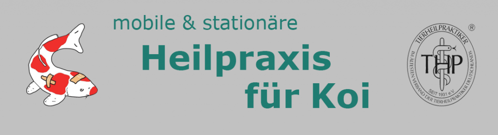 Heilpraxis für Koi – Logo