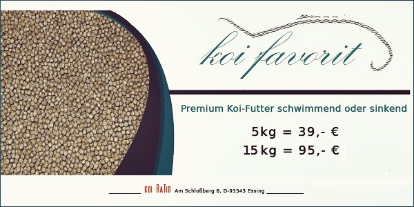 Koi-Favorit